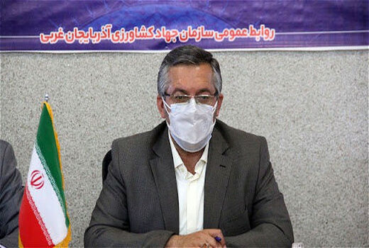  وجود ۵۸ هکتار فضای گلخانه‌ای فعال در آذربایجان غربی