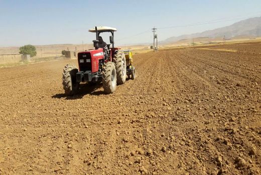 کشت کلزا در شهرستان لردگان آغاز شد