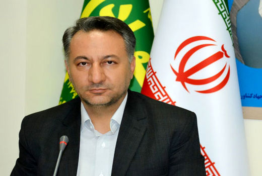 احداث باغ گردوی پیوندی به مساحت سه هکتار در شهرستان بستان آباد