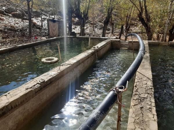 ساماندهی واحدهای غیر مجاز پرورش ماهی در شهرستان دماوند 