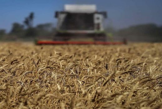 پنج هزار میلیارد ریال مطالبه گندم‌کاران ایلام پرداخت شد