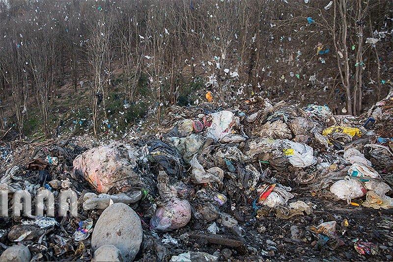 زباله دانی به وسعت یک جنگل