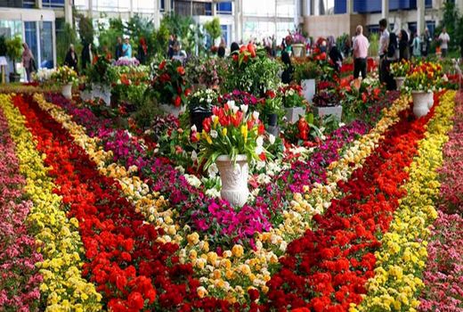 نمایشگاه تخصصی گل و گیاه در تبریز گشایش یافت
