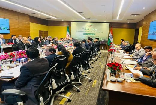 صادرات کیوی به کشور هند افزایش می‌یابد