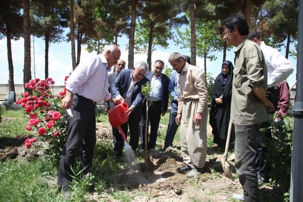 غرس چند اصله نهال به مناسبت روز ملی گل و گیاه در محوطه ساختمان جهاد کشاورزی آذربایجان غربی