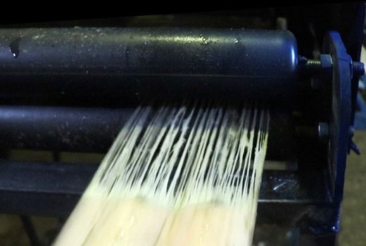 افزایش درآمد باغداران با فرآوری ساقه موز