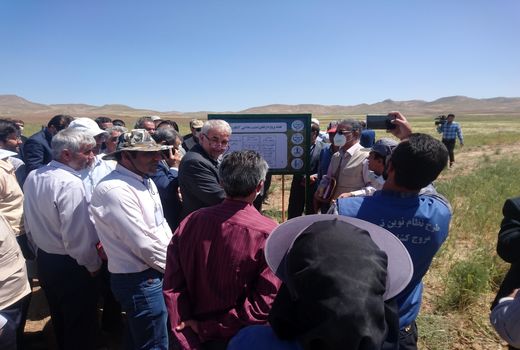 برگزاری روز مزرعه پروژه امنیت غذایی در قوچان