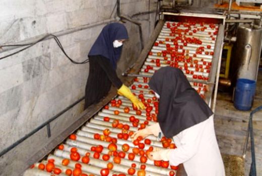 سرمایه‌گذاری  198میلیارد ریالی در صنایع تبدیلی و تکمیلی خراسان شمالی