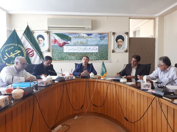 وضعیت بازار محصولات کشاورزی بررسی شد