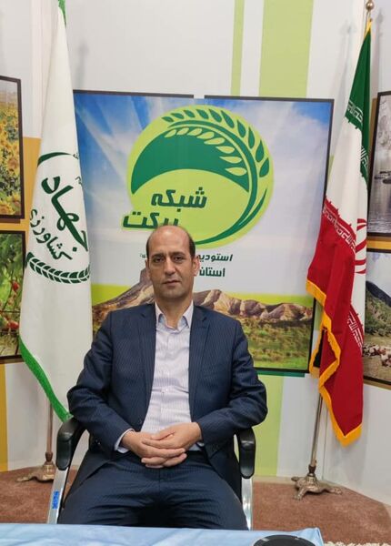 به متقاضیان کشت جایگزین در ایلام بذر رایگان داده میشود