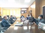 برگزاری جلسه ستاد توسعه باغات و گیاهان دارویی استان ایلام