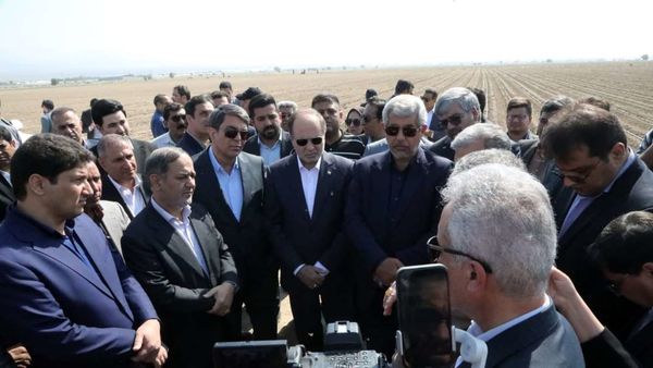 نقش‌آفرینی مجتمع‌های کشت و صنعت در انتقال دانش و نوآوری به کشاورزان ضروری است 