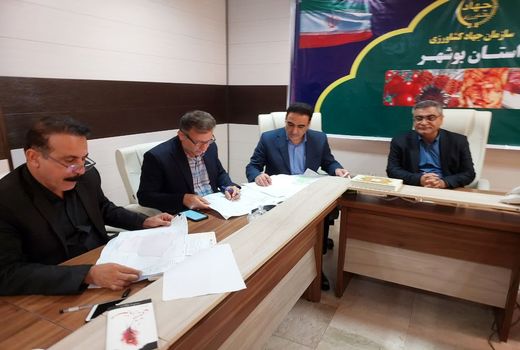 رفع تداخل ۶ پلاک در استان بوشهر