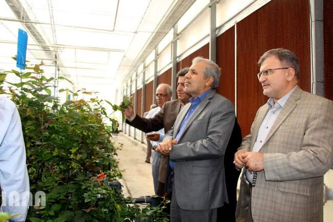 بازدید معاون امور باغبانی وزیر جهاد کشاورزی از پروژه های کشاورزی شهرستان پیشوا