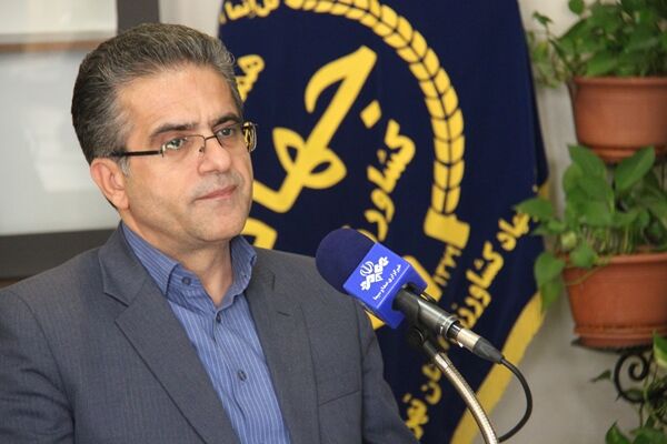 بهره‌وری از اراضی کشاورزی استان تهران حدود ۴ برابر میانگین کشوری است