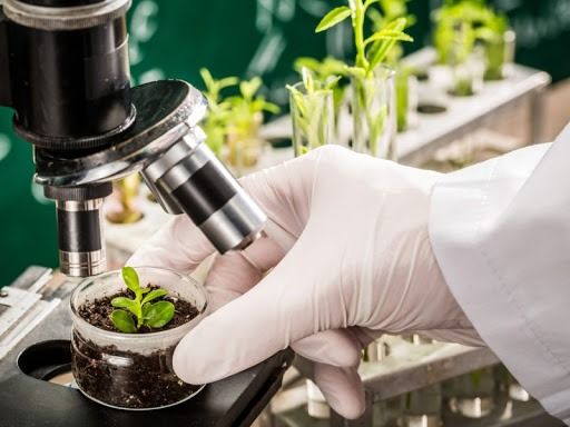 ارائه خدمات رایگان شرکت‌های خدمات فنی و مهندسی و کلینیک‌های گیاهپزشکی در سومین روز از هفته جهاد کشاورزی