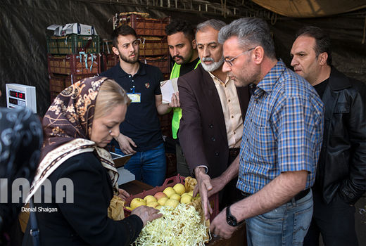 تخلف در فروش میوه‌ها را گزارش کنید