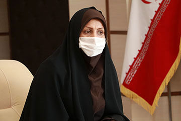 135 هزار هکتار از مزارع کشاورزی استان قزوین به زیر کشت گندم رفت