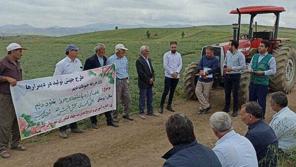 آزمایش کاربردی علف کش اتوبور در مزارع نخود شهرستان کلیبر 