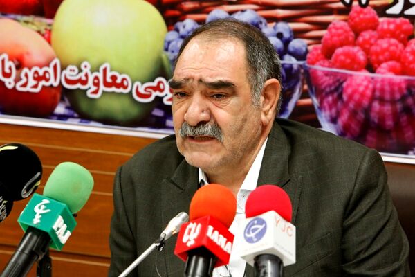 اولین سورتینگ پیاز زعفران کشور در شهرستان پاکدشت در حال ثبت است