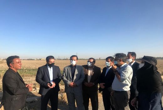 بازدید رییس سازمان جهاد کشاورزی تهران از مزرعه 100هکتاری کشت و صنعت  رضایی در شهرستان اسلامشهر