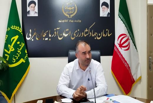 تعداد بالای کشاورزان نمونه، ملاک ارزیابی مدیران جهاد کشاورزی قرار می گیرد
