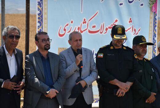 پیش بینی تولیدبیش از ۶۵۰ هزار تن گندم در آذربایجان شرقی 