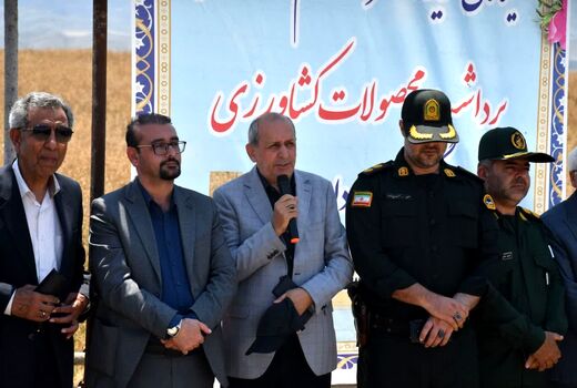 پیش بینی تولیدبیش از ۶۵۰ هزار تن گندم در آذربایجان شرقی 
