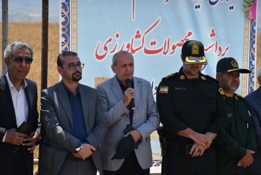 پیش بینی تولیدبیش از ۶۵۰ هزار تن گندم در آذربایجان شرقی 