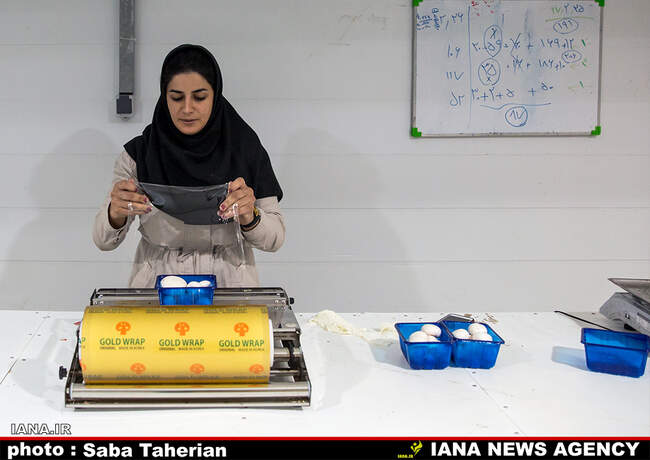 کارخانه قارچ