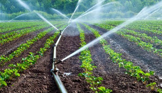 چالش‌های بودجه کشاورزی زیر ذره‌بین 