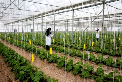 افتتاح شهرک گلخانه‌ای 42 هکتاری شهرستان فریدن