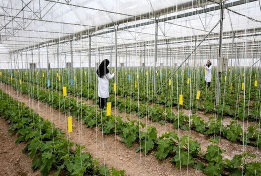 افتتاح شهرک گلخانه‌ای 42 هکتاری شهرستان فریدن