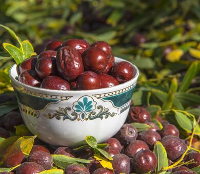 سرخی عناب میان خاک کویر