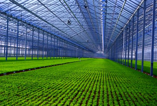 دعوت ازمتقاضیان سرمایه‌گذاری در شرکت شهرک‌های کشاورزی