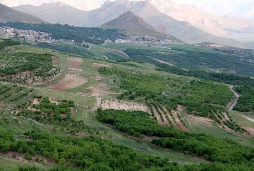 طرح توسعه باغات در اراضی شیب دار گامی در راستای رونق تولید و اشتغال پایدار