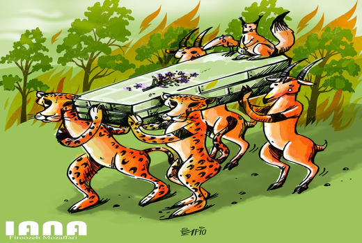  جنگلهای مریوان در آتش می سوزد و می میرد- طرح فیروزه مظفری