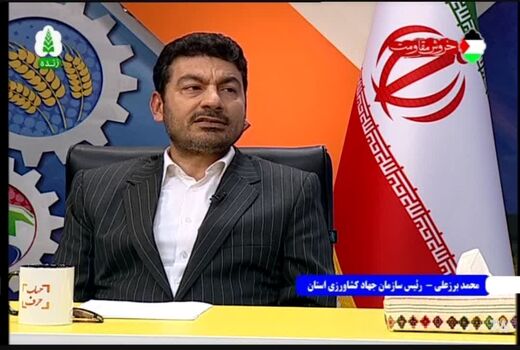 چالش‌های کشت محصولات پاییزه در گلستان