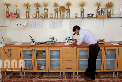 حمایت قانونی کافی برای صادرات نداریم 