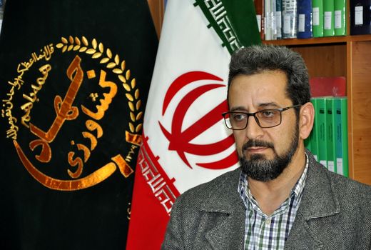 تولید سه هزار شاخه گل رز در خراسان‌جنوبی