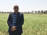 سطح گلخانه‌های هرمزگان، ۵ برابر شد
