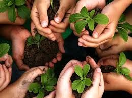 جوانان و نخبگان، پیشران سرمایهگذاری در کشاورزی خواهند بود