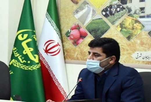 قیمت واقعی و مصوب گوشت مرغ برای مصرف کنندگان ۳۱ هزار تومان است