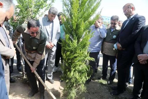 افلاطونی: پویش سرو ایران نماد ایستادگی و رویش دوباره ملت است