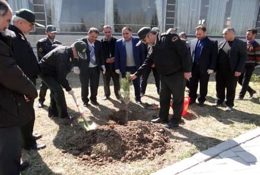 کاشت ۲۵ هزار اصله نهال توسط نیروهای ارتشی و انتظامی  در آذربایجان غربی 