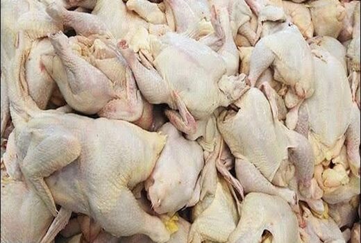تولید گوشت در کردستان هشت درصد افزایش داشته است