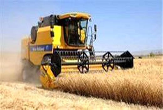 600 کمباین برداتش غلات در مزارع کشاورزی استان  انجام می دهند 