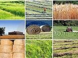 اجرای 7 طرح اقتصادی از محل اشتغال پایدار روستایی