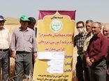 برگزاری مراسم روز مزرعه گندم در ارومیه 