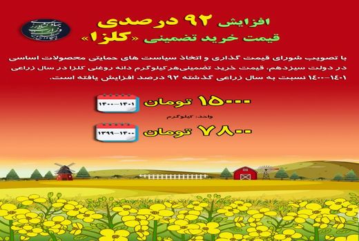 افزایش قیمت کلزا در دولت سیزدهم